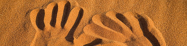 header image 2